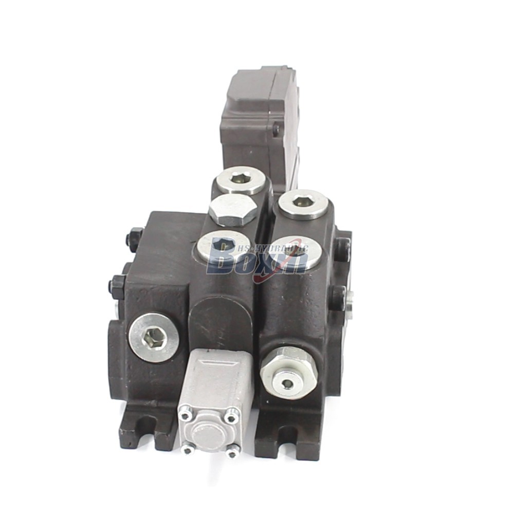 Custom OEM/ODM Services for DCV100EMA-OT Electric Motor 1 Spool Sectional Directional Valve Manufacturing image